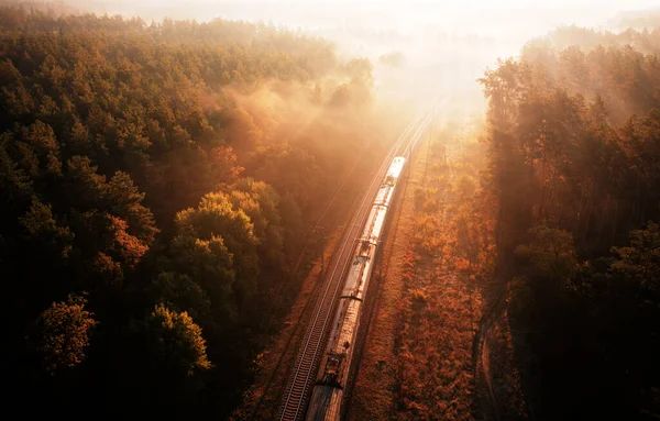 Ein Mit Rohstoffen Beladener Güterzug Bringt Fracht Durch Den Wald — Stockfoto