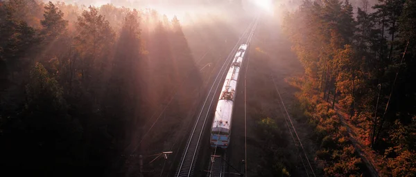Freight Train Loaded Resources Delivers Cargo Forest Wonderful Summer Landscape — Stock Photo, Image