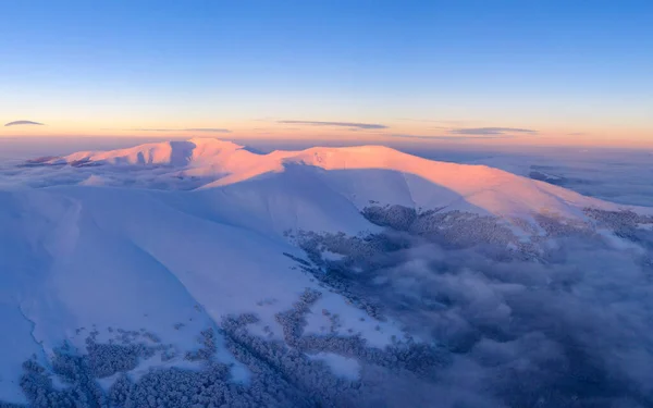 Picos Montanha Cobertos Neve Floresta Coníferas Maravilhosa Floresta Inverno Nas — Fotografia de Stock