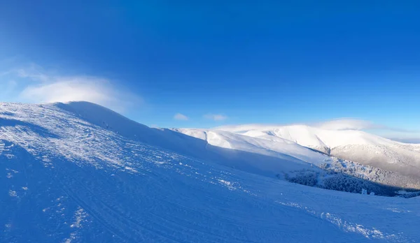 Schneebedeckte Berggipfel Und Nadelwald Wunderschöner Winterwald Den Bergen Berglandschaft — Stockfoto