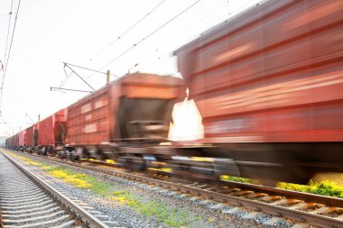 Kaynaklarla dolu bir yük treni kargoyu ormandan geçirir. Harika bir yaz manzarası. Şafak vakti çürümüş çam ağaçları.