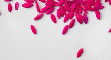 Salatalık tohumları. Yüksek kaliteli ekme malzemeleri bitki koruma ürünleriyle tedavi edilir..