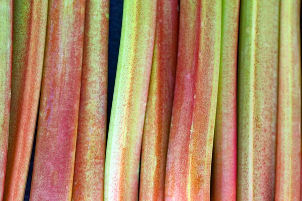Rhubarb, fresh organic vegetarian food, natural background or texture — Zdjęcie stockowe