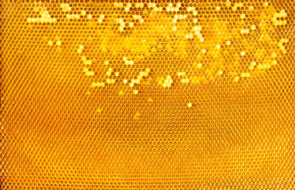 Yellow partially packed honey frame. Natural background or texture.