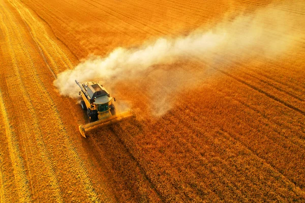 Combine Harvests Wheat Aerial View Wonderful Summer Landscape Agricultural Fields — Stock Photo, Image