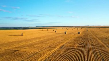 Wonderful summer village landscape. Large straw bales on a field of mown wheat.