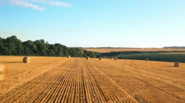 Wonderful summer village landscape. Large straw bales on a field of mown wheat.