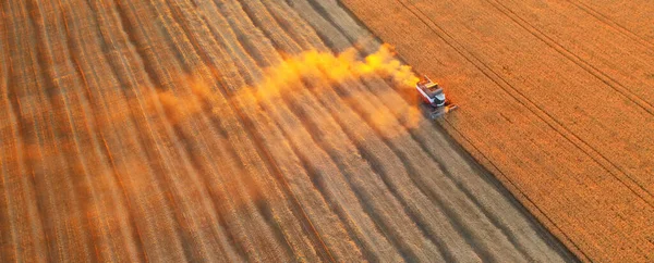 Ukrainian Grain Harvest Combine Harvester Field Collects Wheat Barley Aerial — Fotografia de Stock
