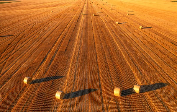 Wonderful Summer Village Landscape Drone View Agricultural Field Large Bales — Zdjęcie stockowe