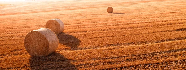 Wonderful Summer Village Landscape Drone View Agricultural Field Large Bales — Zdjęcie stockowe