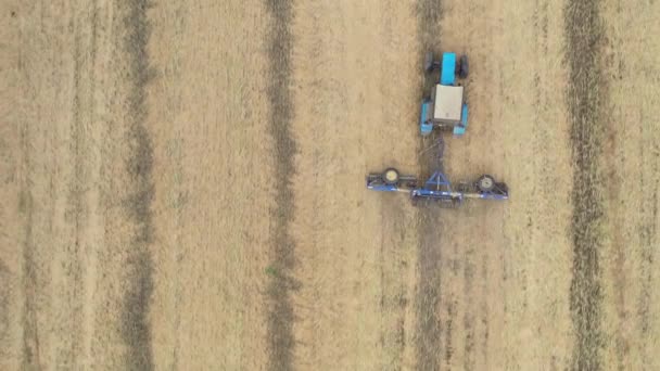 Harvester Harvests Rapeseed Rapeseed Field Drone View — 图库视频影像