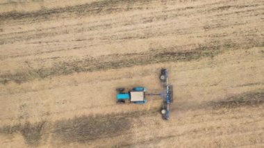 A harvester harvests rapeseed in a rapeseed field. Drone view.