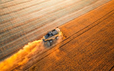 Ukrainian grain harvest. A combine harvester in the field collects wheat or barley. Aerial view of an agricultural field. Wonderful summer rural landscape.
