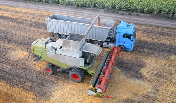 The combine delivers threshed grain to the truck. Harvest season in agricultural fields. Harvest in the south of Ukraine.