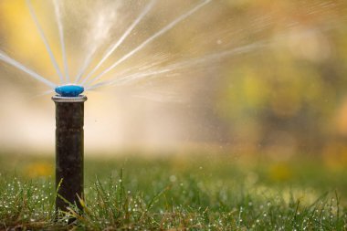 The nozzle of the automatic watering system on the lawn sprays drops of water. Close-up, selective focus.
