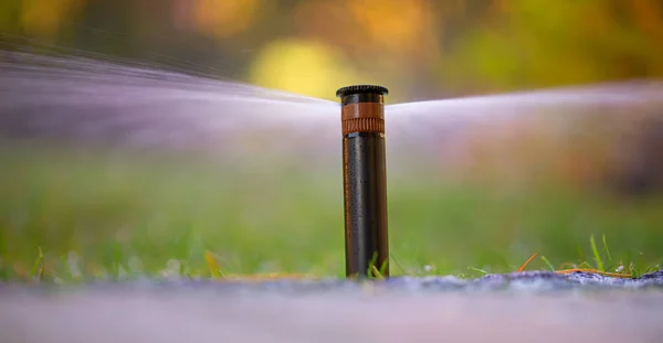 Nozzle Automatic Watering System Lawn Sprays Drops Water Close Selective — Stock Photo, Image