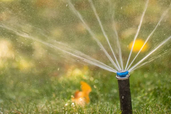 Nozzle Automatic Watering System Lawn Sprays Drops Water Close Selective — Stok fotoğraf