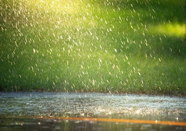 Дождь Летнем Парке Капли Дождя Падают Асфальт Зеленую Траву Абстрактный — стоковое фото
