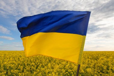 Ukrainian flag made of satin fabric on a background of a yellow field and a blue sky