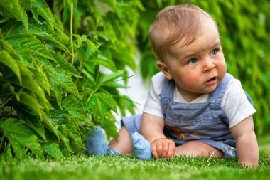 Baby, little boy sitting on the lawn, in the park or in the backyard, on a warm summer day.