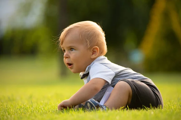 Baby Little Boy Sitting Lawn Park Backyard Warm Summer Day — Stock Photo, Image
