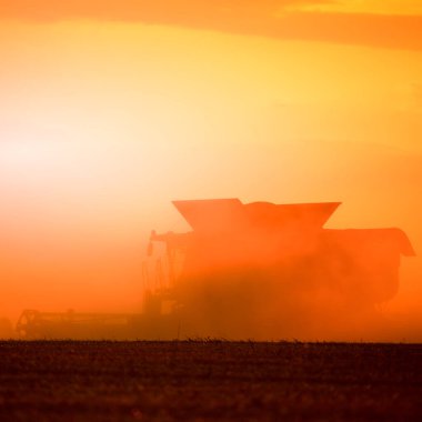 Ukrainian grain harvest. A combine harvester in the field collects wheat or barley. Aerial view of an agricultural field. Wonderful summer rural landscape.