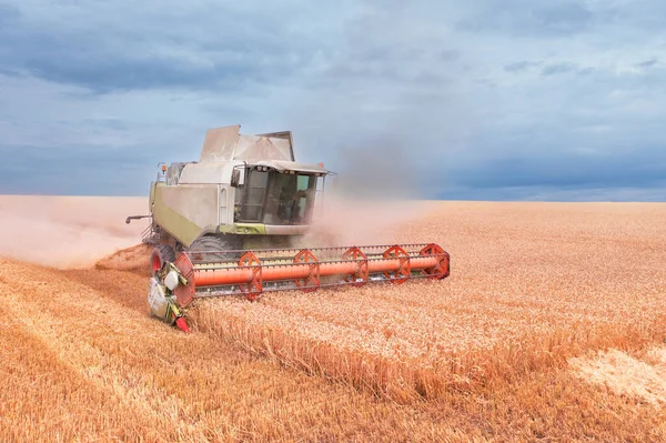 Ukrainian Grain Harvest Combine Harvester Field Collects Wheat Barley Aerial — Foto de Stock