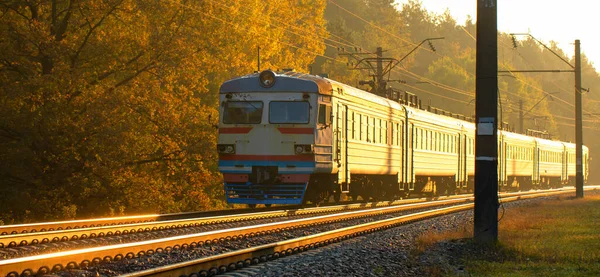 Старий Пасажирський Потяг Рухається Через Ліс Світанку Подорож Залізницею Осінній — стокове фото