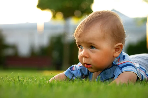 Baby Little Boy Sitting Lawn Park Backyard Warm Summer Day — Stock Photo, Image