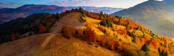 Wonderful Autumn Landscape Multicolored Conifers Deciduous Trees Meadow Dry Grass — Stockfoto