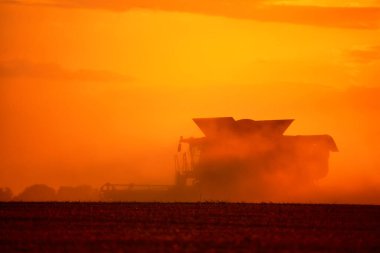 Ukrainian grain harvest. A combine harvester in the field collects wheat or barley. Aerial view of an agricultural field. Wonderful summer rural landscape.