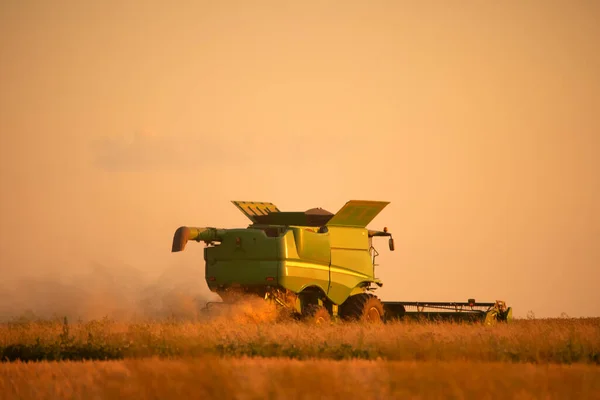 Ukrainian Grain Harvest Combine Harvester Field Collects Wheat Barley Aerial — стоковое фото