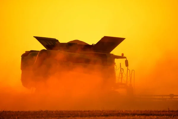 Ukrainian Grain Harvest Combine Harvester Field Collects Wheat Barley Aerial — Fotografia de Stock