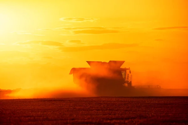 Ukrainian grain harvest. A combine harvester in the field collects wheat or barley. Aerial view of an agricultural field. Wonderful summer rural landscape.