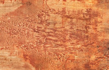 Poplar board texture. Old faded paint. Abstract natural background, texture. close up