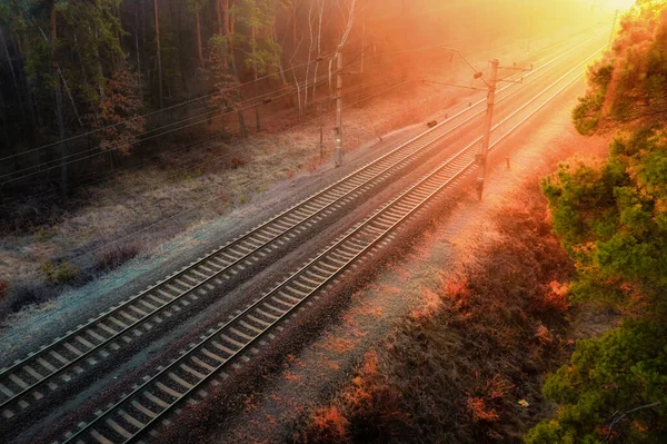 Railway Autumn Forest Dawn Drone View Imágenes De Stock Sin Royalties Gratis