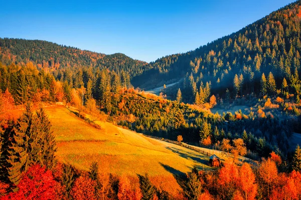Осенний Горный Пейзаж Чудесное Туманное Утро Желтые Листья Деревьев Лугов — стоковое фото