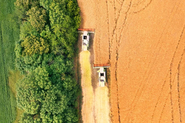 Duas Colheitadeiras Combinam Colheitas Grãos Campo Agrícola Vista Drone — Fotografia de Stock
