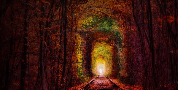 Autumn Tunnel Love Railway Runs Dense Forest Great Place Romantic — Fotografia de Stock