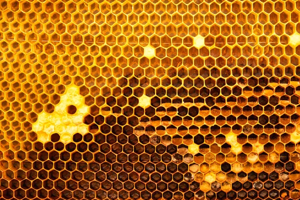 Gul Delvis Packad Honungsram Naturlig Bakgrund Eller Struktur Närbild — Stockfoto