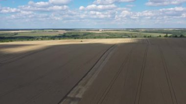 Sahada sarı olgunlaşmış buğday, drone manzaralı. Mavi gökyüzü ve yeşil dereler, harika kırsal tarım arazisi.