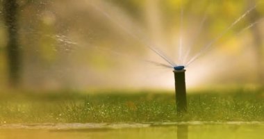 Otomatik sulama sisteminin başlığı yeşil bir çimi suluyor..