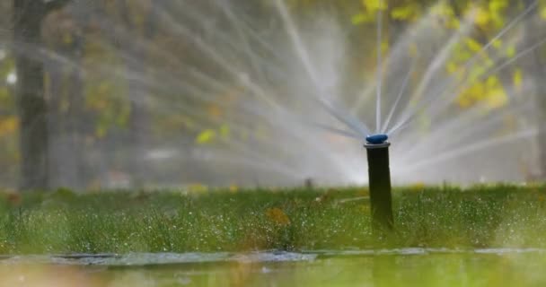 自動散水システムのノズルは緑の芝生に水をやります — ストック動画