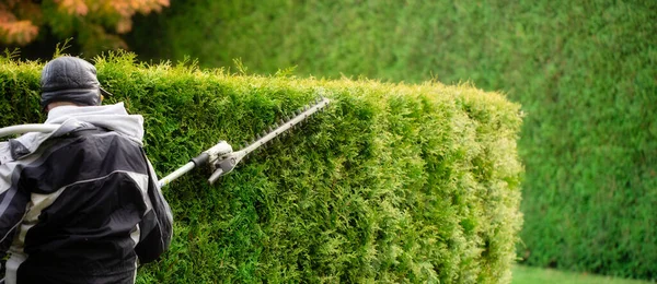 Jardineiro Cuida Uma Sebe Parque Perto Uma Casa Campo Privada — Fotografia de Stock