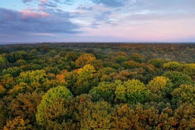 Şafakta sonbahar ormanı, sabah bulutlu gökyüzünün arka planında. Harika bir sabah doğal manzarası. Drone görünümü.