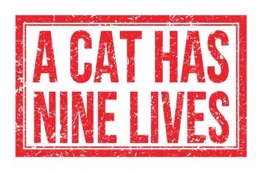 Bir KEdinin 9 Yaşamı vardır, kırmızı dikdörtgen damga işareti üzerine yazılmış kelimeler