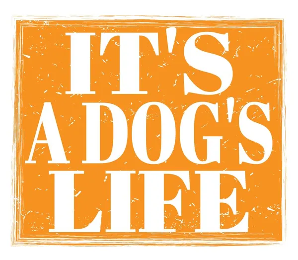 Ist Ein Dog Leben Geschrieben Auf Orangefarbenem Grungy Stempelschild — Stockfoto