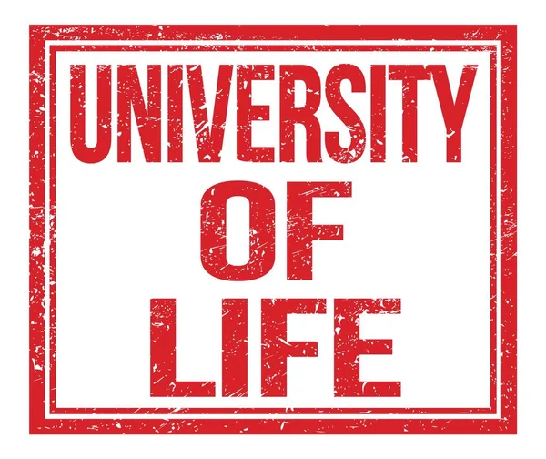 Πανεπιστημιο Ζωησ Γραμμένο Πάνω Κόκκινη Grungy Σφραγίδα — Φωτογραφία Αρχείου