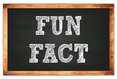 Siyah ahşap çerçeve okul tahtasına yazılmış eğlenceli gerçekler.