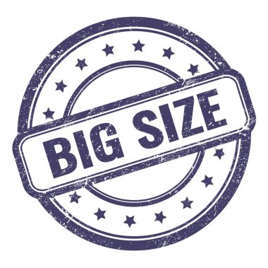 Çivit mavisi grungy vintage yuvarlak kauçuk damga üzerine büyük SIZE metin.